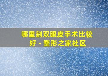 哪里割双眼皮手术比较好 - 整形之家社区